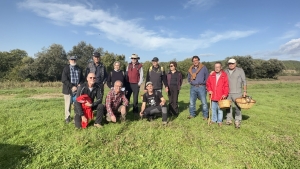 Metges Mutua de Terrassa