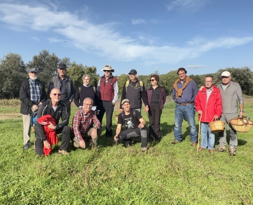 Metges Mutua de Terrassa