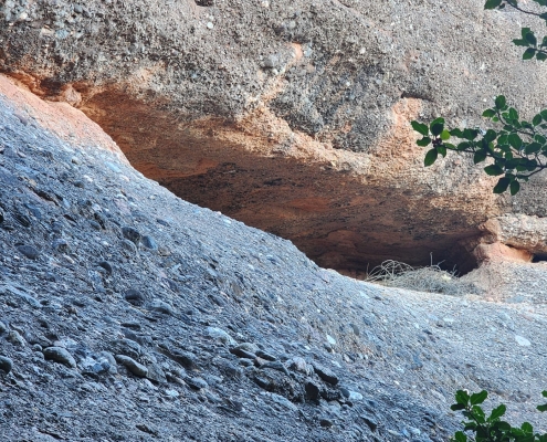 LA BALMA DELS DEBANADORS